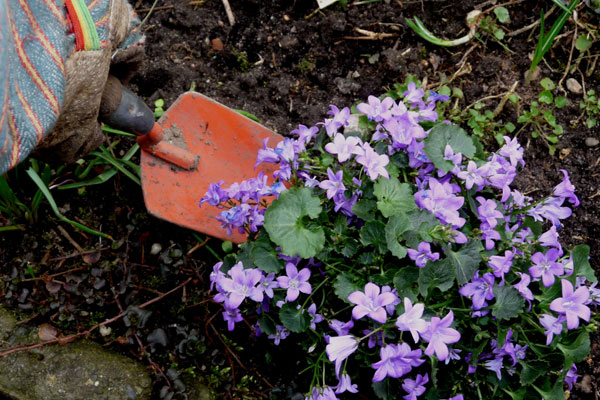 Grabh&uuml;gel bepflanzen